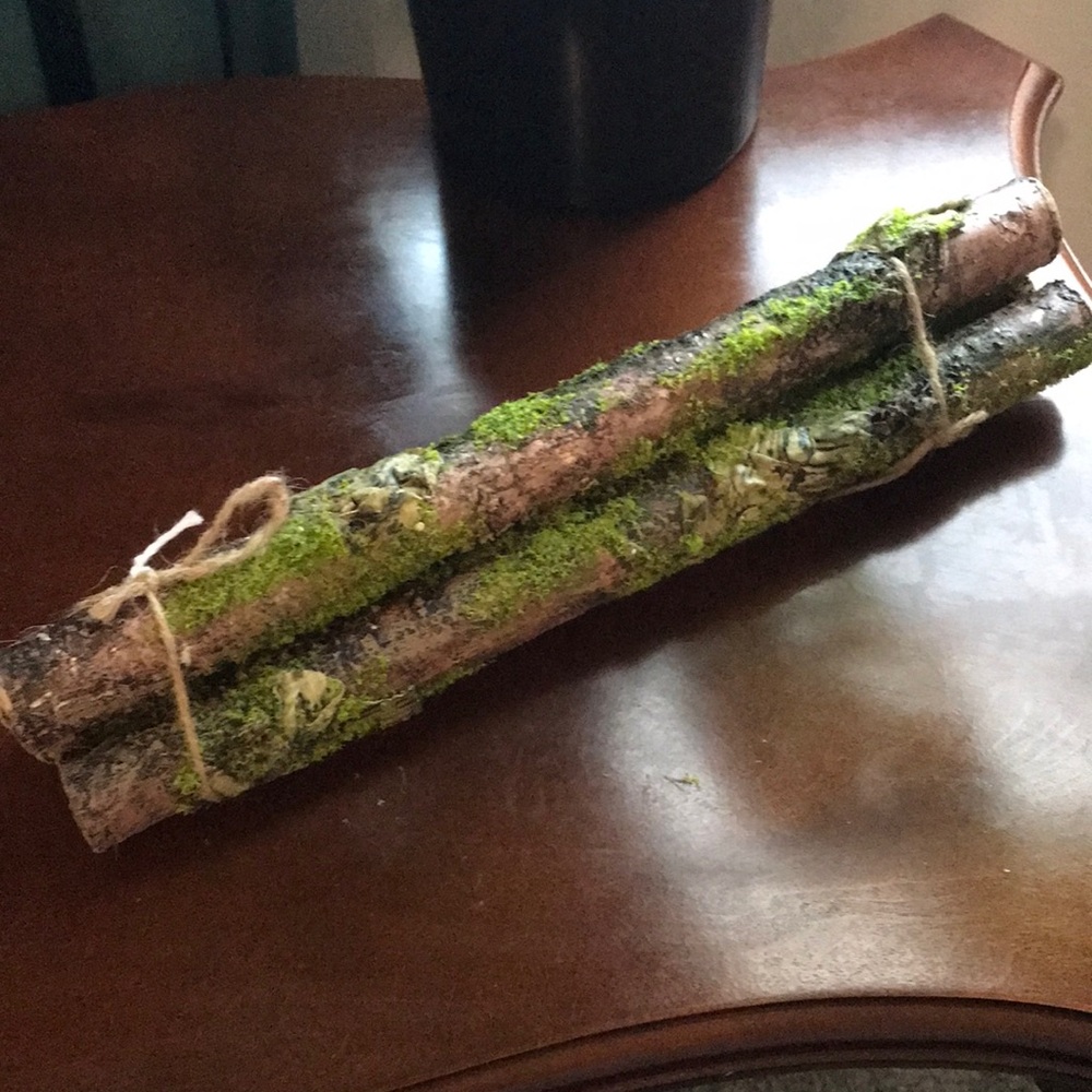 Hand Crafted Rustic Moss-Covered Decorative Logs NEW FINAL SALE